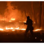 Greece evacuates Athens suburb under wildfire threat