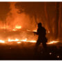 France battles massive wildfires, Britain records highest ever temperature