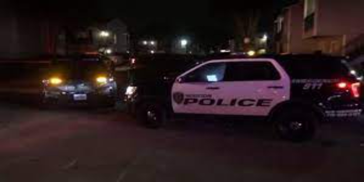 A lady fatally kills a suspected stalker/Bolnews.com