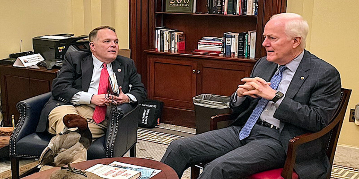 A bipartisan group of senators will meet after horrific shootings continue/Bolnews.com