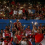 Austrian federation X-rays pitch ahead of France game