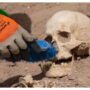 From Saddam to IS: Iraq still exhuming mass graves