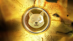 Shiba Inu