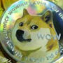 Dogecoin Price Could Fall Even Further