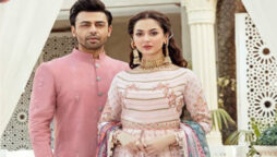 Fans are dissatisfied with the plot twist in Mere Humsafar