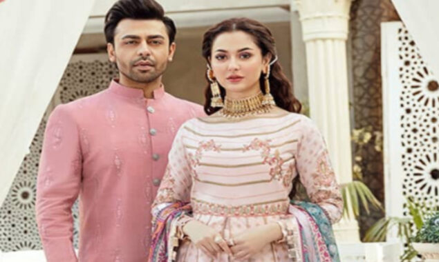 Mere Humsafar