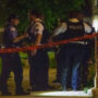 Hundreds of people injured in major city shootings in Chicago and other countries