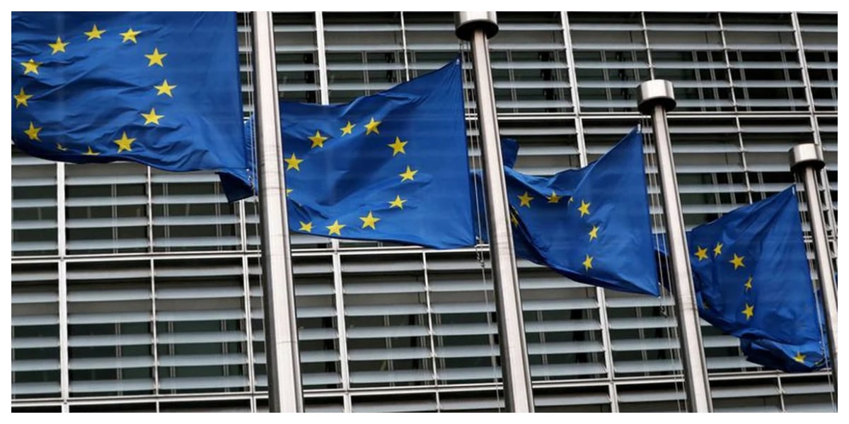 European parliament
