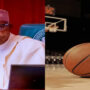 Nigeria reverses international basketball withdrawal