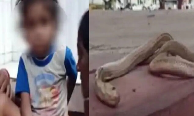 Snake died after Biting  4-Year-Old in Gopalganj? Viral Video