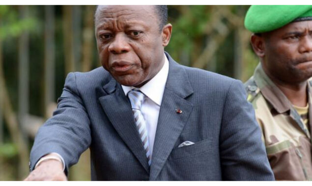 Congo-Brazzaville parliamentary election campaign begins