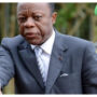 Congo-Brazzaville parliamentary election campaign begins