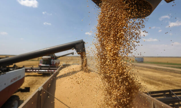 Ukraine raises grain exports by 50% each month because of the sea blockade