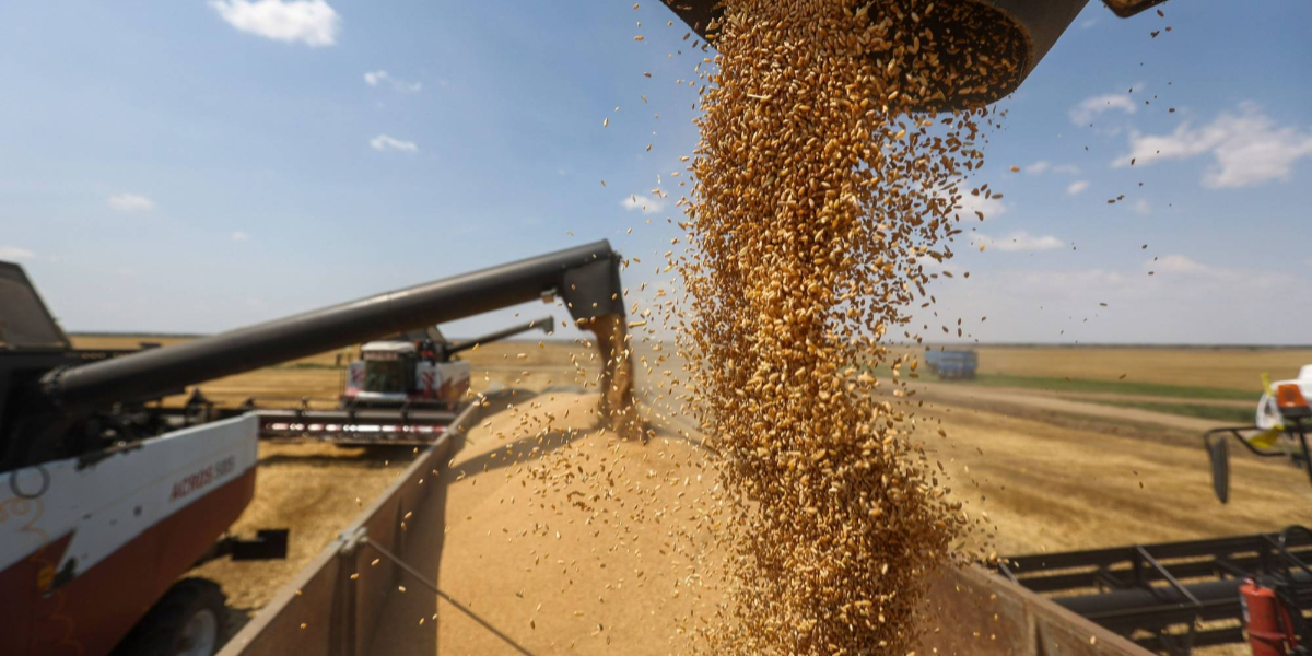 Ukraine raises grain exports