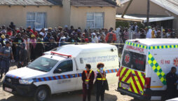 South Africans