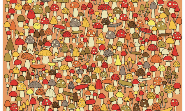 Set a new mark by identifying the mouse in this optical illusion in 20 seconds