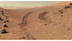 Martian soil indicates long-term habitability