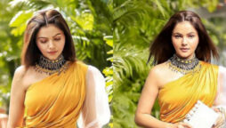 Rubina Dilaik looks ravishing in yellow, See photos