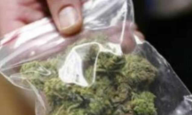 Thailand legalises marijuana trading