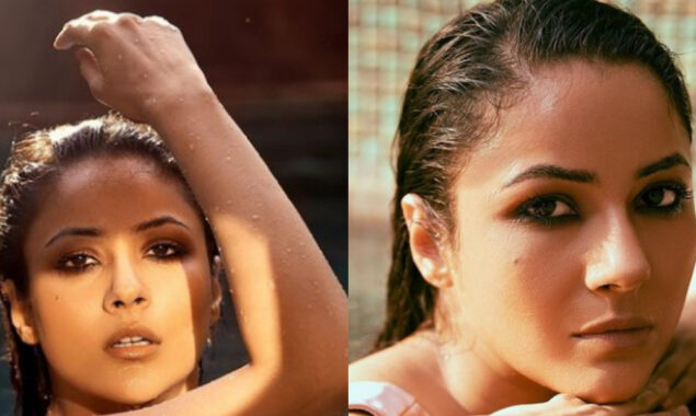 You can’t take your eyes off Shehnaaz Gill new photos
