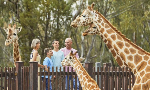 Sri Lanka runs out of money to feed animals