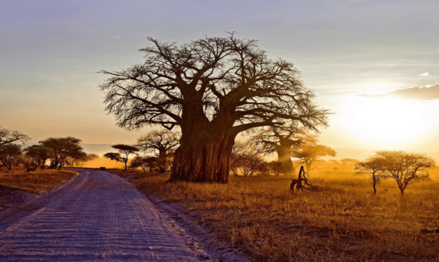 Central African Republic intends to tokenize natural resources to attract investors