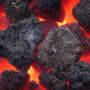 Netherlands raises its coal-burning quota to prevent electricity shortages