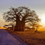 Central African Republic intends to tokenize natural resources to attract investors