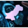 IT industry rejects final tax system