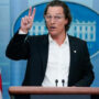 Matthew McConaughey calls for ‘gun responsibility’ at white house stage