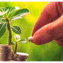 SBP promotes farmers’ financial literacy online