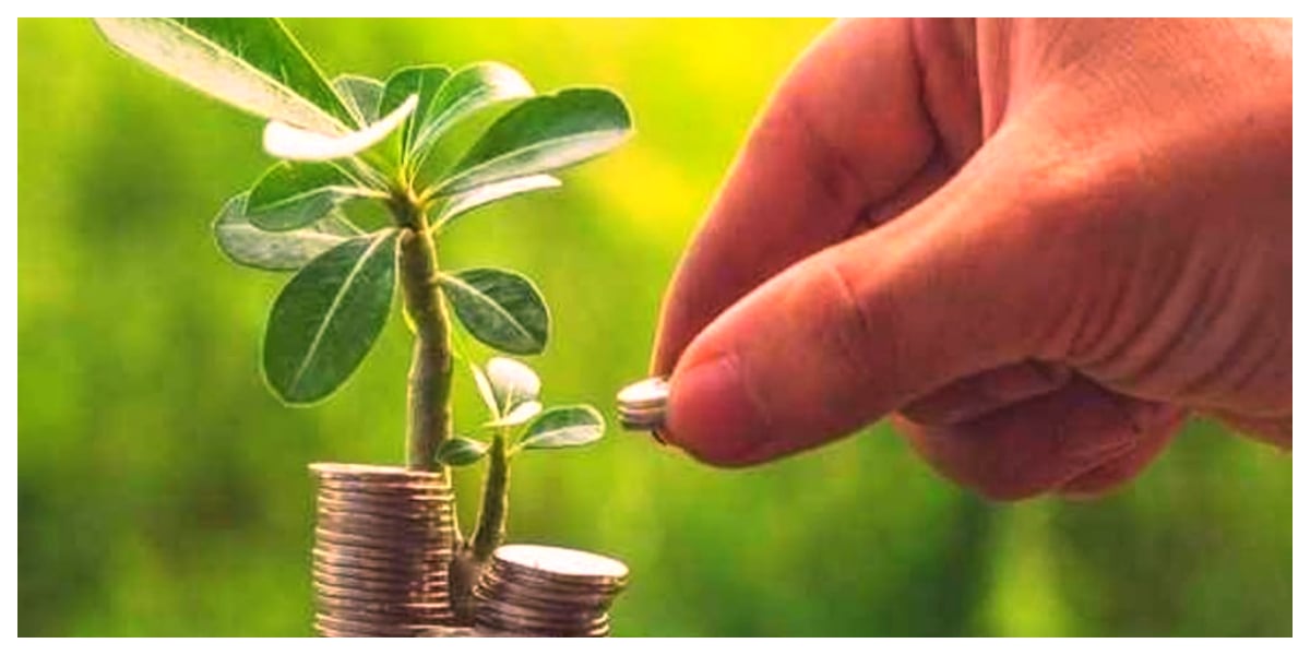 SBP promotes farmers' financial literacy online