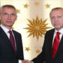 NATO head talks with Erdogan about Finland, Sweden joining