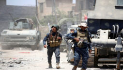 Five IS fighters slain near Baghdad