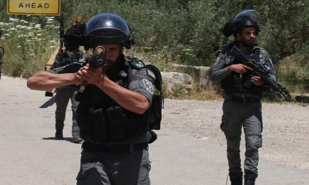 Palestinian woman shot dead by Israeli soldier