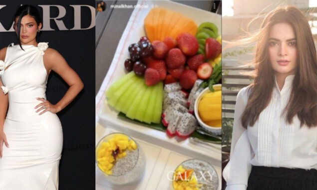 Minal Khan trolled for copying Kylie Jenner’s Instagram story