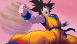 Dragon Ball Super: Super Hero