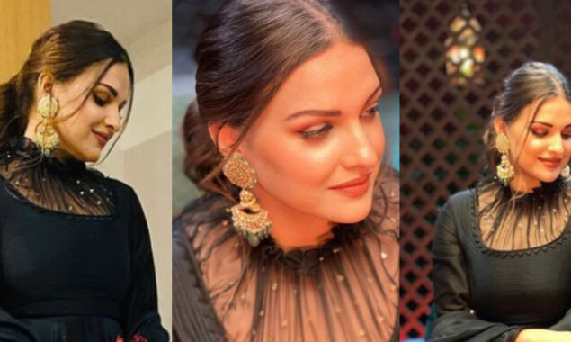 Himanshi Khurana shares her enchanting photoshoot with her fans
