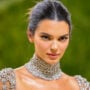 What Has Kendall Jenner Been Doing Since Her Split From Devin Booker?