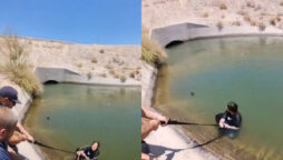 Terrified woman and dog locked in canal by herself for 18 hours