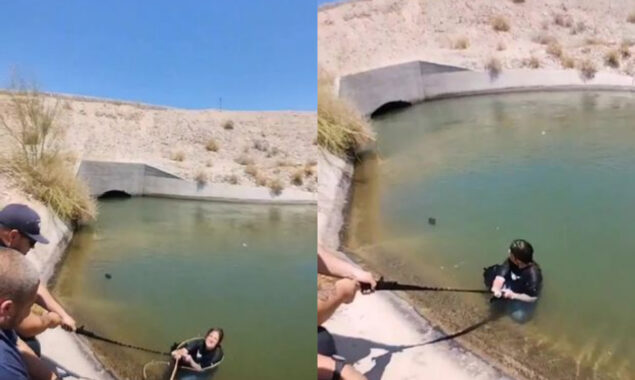 Terrified woman and dog locked in canal by herself for 18 hours