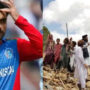 Rashid Khan starts fundraising to to support quake-hit Afghanis