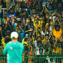 “It was outstanding”: Aaron Finch praises Sri Lanka fans