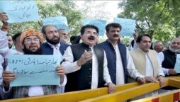 Parliamentarians hold protest against blasphemous remarks outside Indian HC