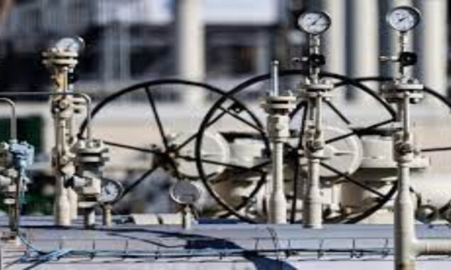 Germany takes chance with downturn as Russian gas crisis deepens