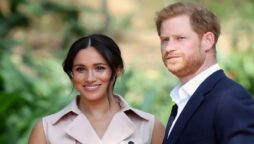 Meghan Markle and Prince Harry ‘need media to elevate their careers’