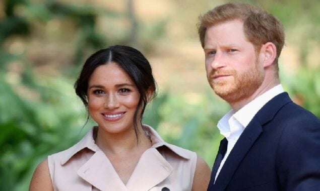 Meghan Markle and Prince Harry ‘need media to elevate their careers’