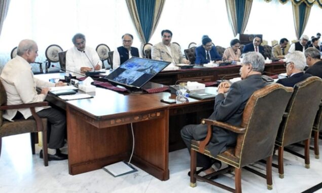 PM Shehbaz orders to devise plan for producing cheap electricity