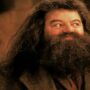 Robbie Coltrane, who plays Hagrid in Harry Potter, will miss the London Comic-Con due to a health scare