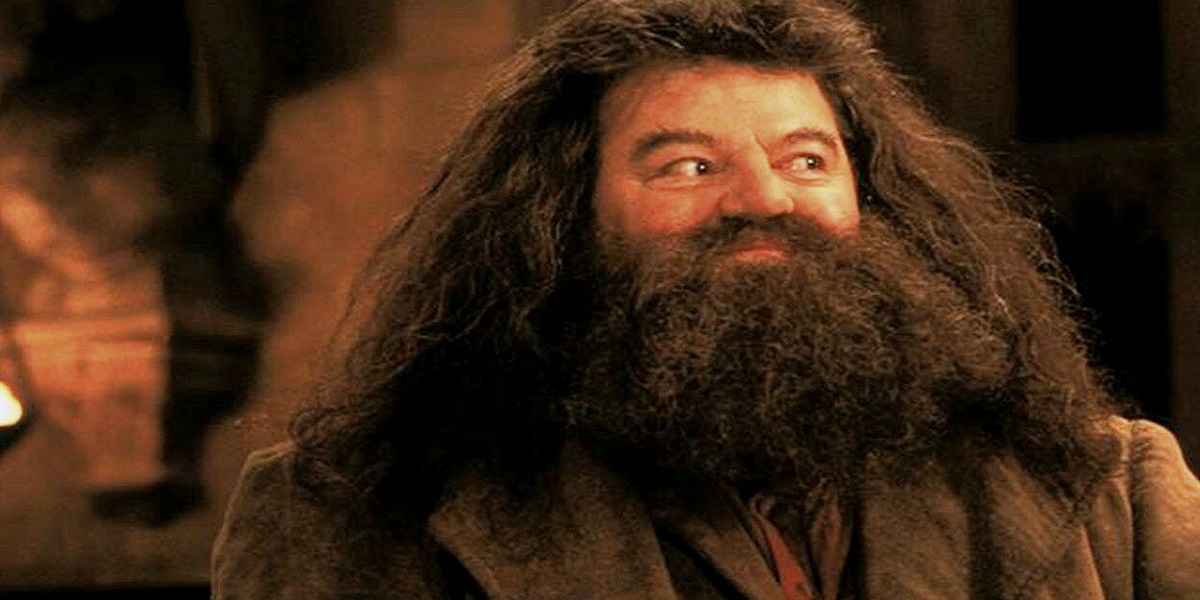 Harry Potter